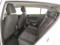 Kia Sportage 1.6 crdi mhev Black Edition 2wd Bianco - thumbnail 8
