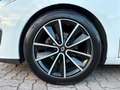 Renault Megane 1.5 DCI ASSETTO SPORTIVO SI A NEOPATENTATI Bianco - thumbnail 15