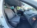 Renault Megane 1.5 DCI ASSETTO SPORTIVO SI A NEOPATENTATI Bianco - thumbnail 9