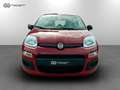 Fiat Panda 1.0 FireFly Hybrid Rosso - thumbnail 2