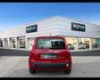 Fiat Panda 1.0 FireFly Hybrid Rosso - thumbnail 4