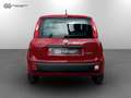 Fiat Panda 1.0 FireFly Hybrid Rosso - thumbnail 4