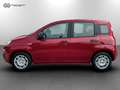 Fiat Panda 1.0 FireFly Hybrid Rosso - thumbnail 3
