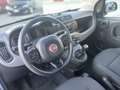 Fiat Panda 1.0 hybrid benzina COMPRESO PASSAGGIO - thumbnail 15