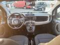 Fiat Panda 1.0 hybrid benzina COMPRESO PASSAGGIO - thumbnail 11