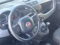 Fiat Panda 1.0 hybrid benzina COMPRESO PASSAGGIO - thumbnail 16