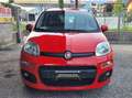 Fiat Panda Panda III 2016 1.2 Lounge 69cv Rosso - thumbnail 1
