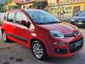 Fiat Panda Panda III 2016 1.2 Lounge 69cv Rosso - thumbnail 8
