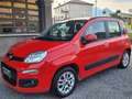 Fiat Panda Panda III 2016 1.2 Lounge 69cv Rosso - thumbnail 2