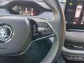 Skoda Enyaq 60 Loft Grau - thumbnail 15
