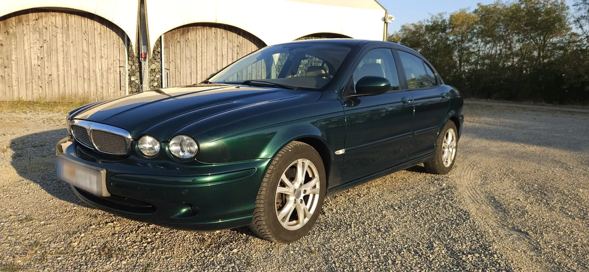 Jaguar X-Type 2,2 Ds. Grün - 2