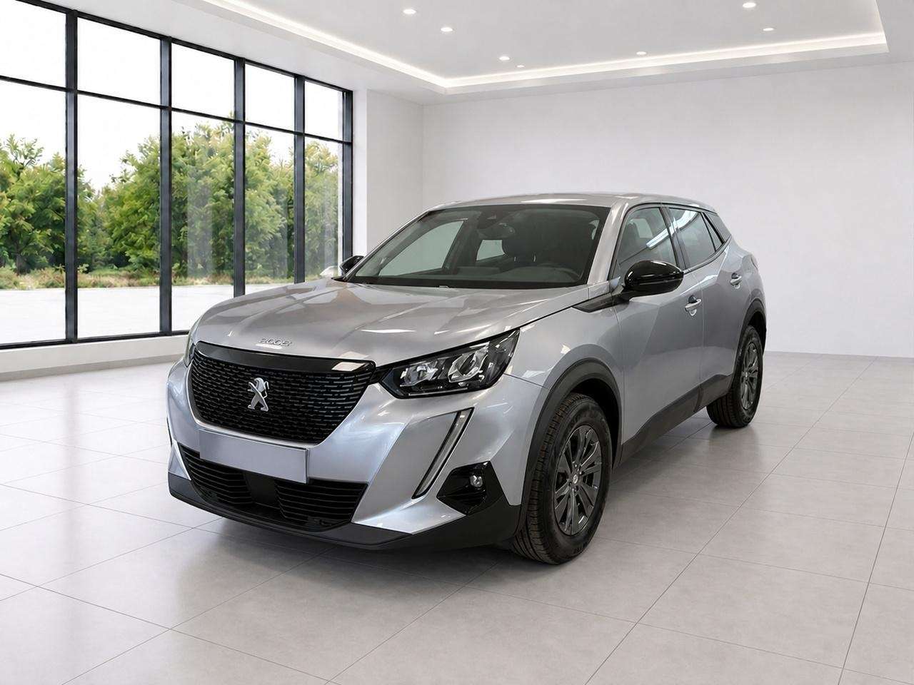Peugeot 2008 PureTech 100 S&S Active