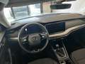 Skoda Octavia 2.0 TDI EVO SCR Wagon Executive Argento - thumbnail 9