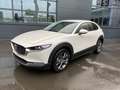 Mazda CX-30 Exclusive-line DASO DESI 186 Metallic - thumbnail 1