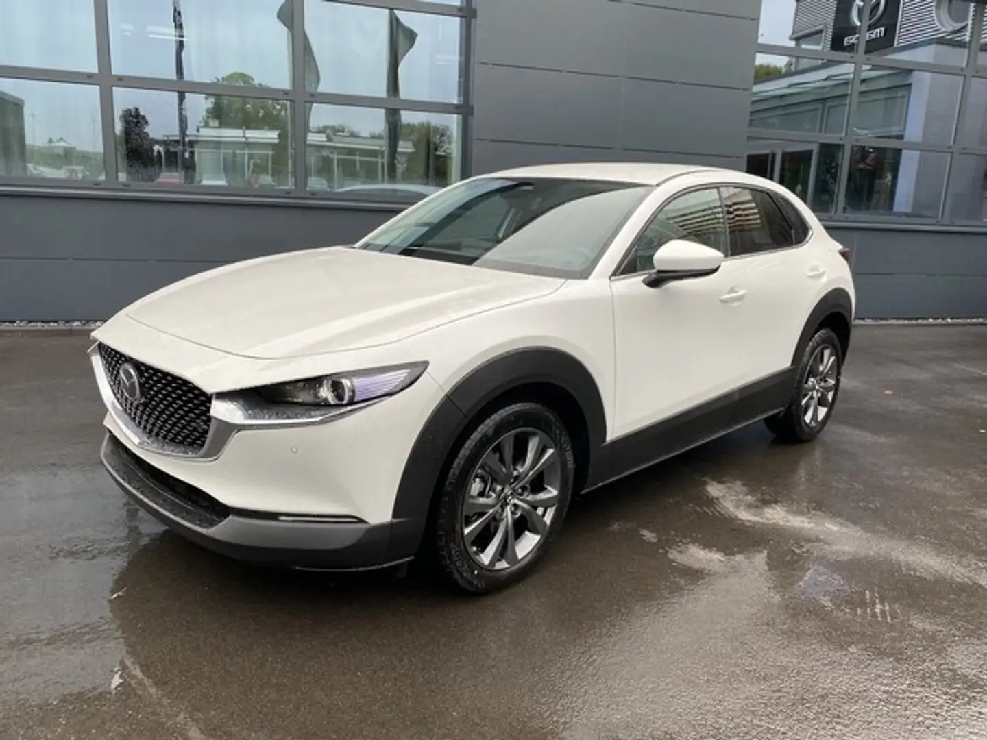 Mazda CX-30 Exclusive-line DASO DESI 186 Metallic - 1