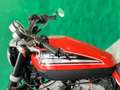 Harley-Davidson XR 1200 Sporster Finanziabile Arancione - thumbnail 12