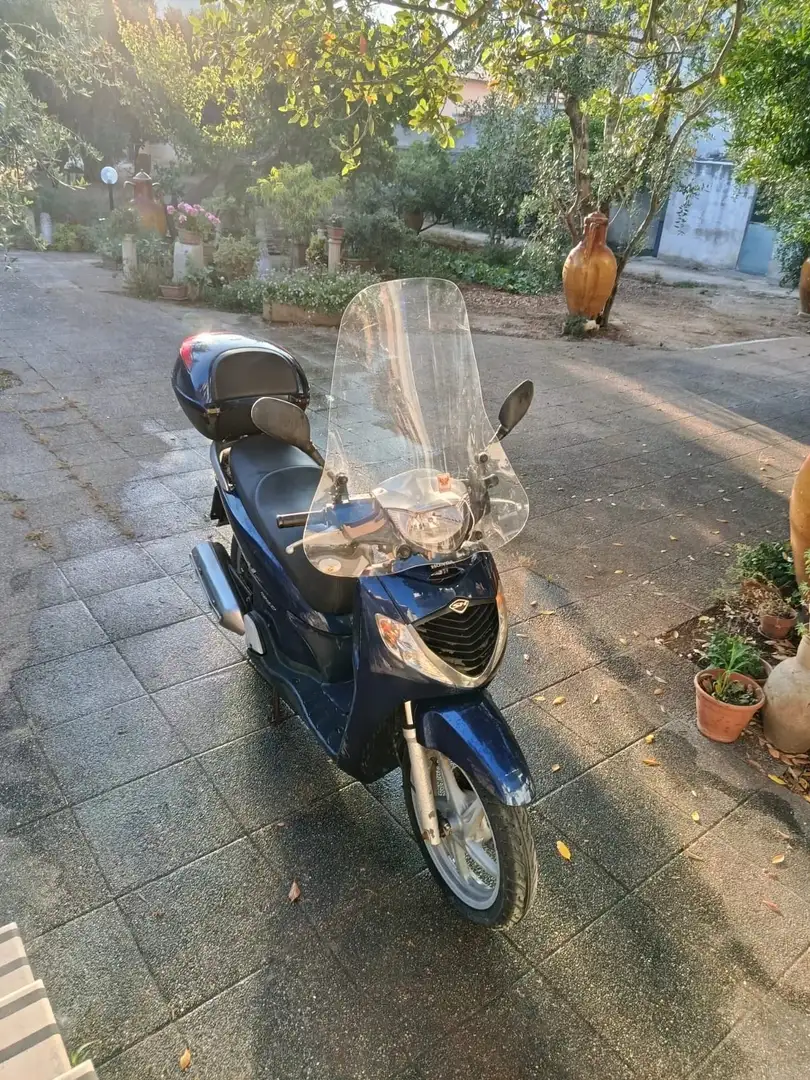 Honda SH 125 Bleu - 2
