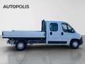 Opel Movano 2.2L C Blanc - thumbnail 5
