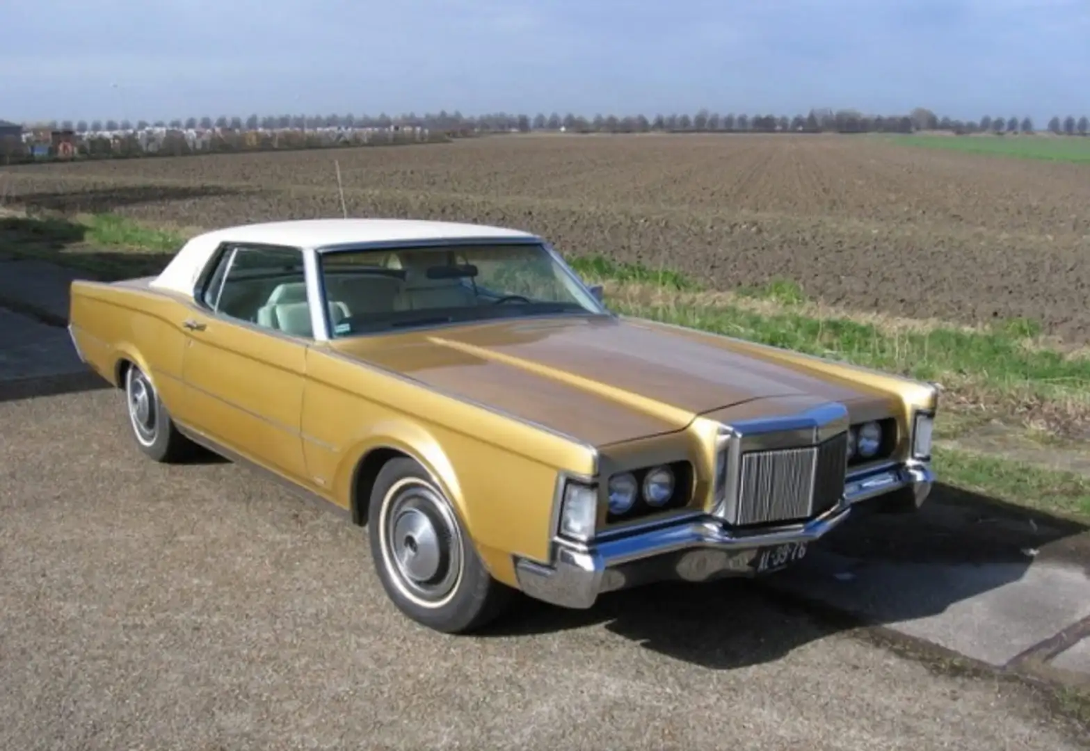 Lincoln Continental Continental undefined Gold - 2