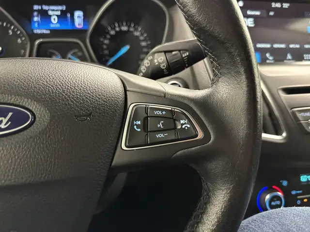 Ford Focus view 19