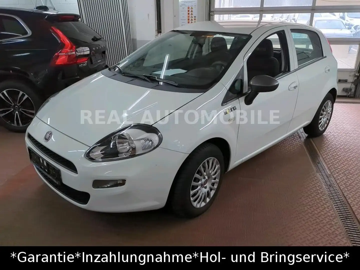 Fiat Punto 1.4 Young *1.HAND*TUV NEU*SCHECKHEFT*EURO6 Bílá - 1