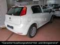 Fiat Punto 1.4 Young *1.HAND*TUV NEU*SCHECKHEFT*EURO6 Bílá - thumbnail 2
