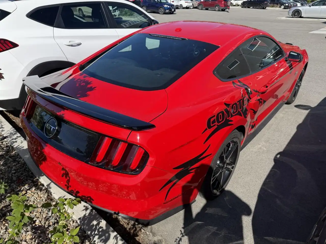 Ford Mustang fotografie Ford Mustang