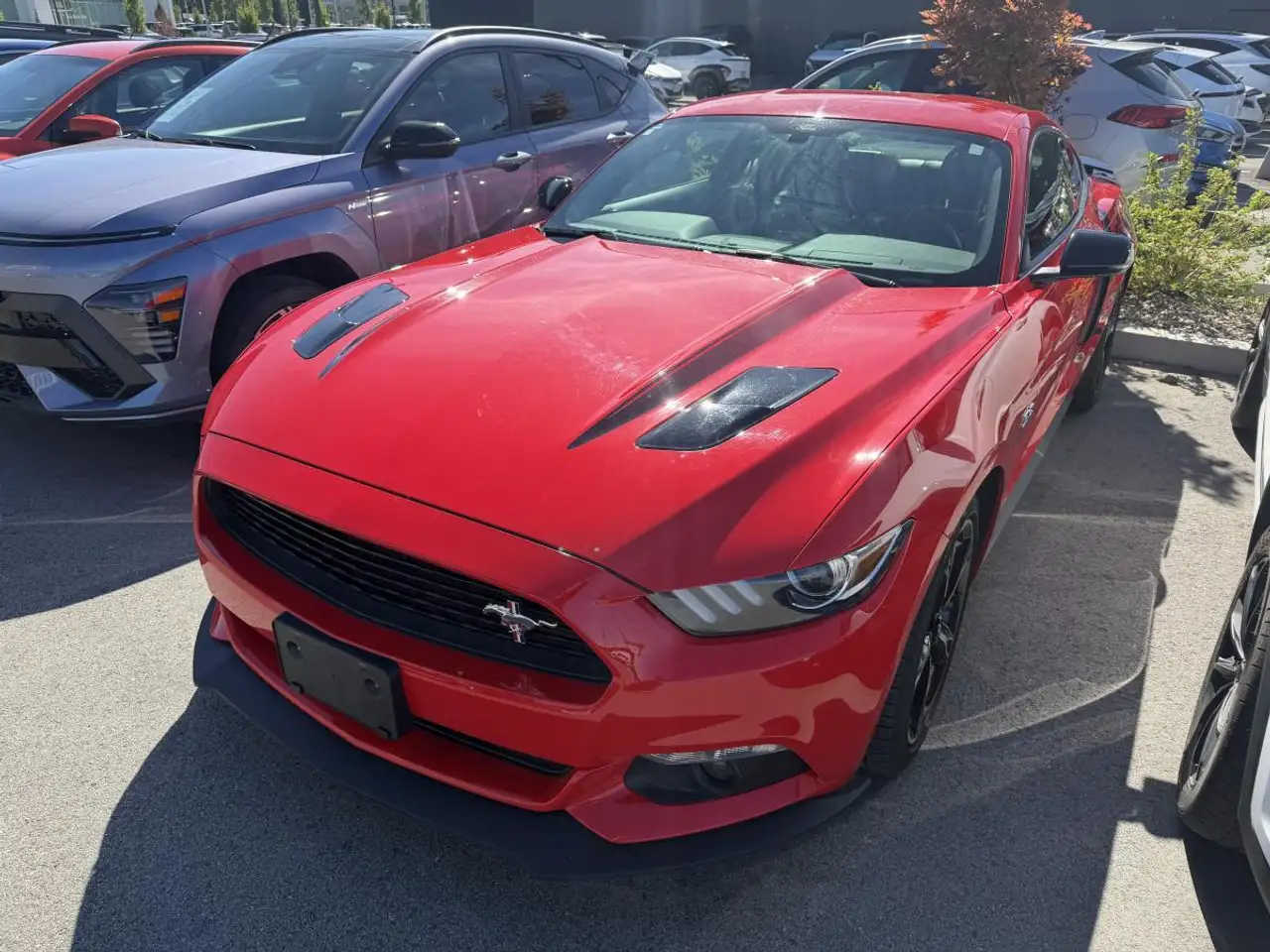 Ford Mustang fotografie Ford Mustang