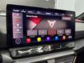 CUPRA Formentor 2.0 TSI 4DRIVE Grau - thumbnail 20