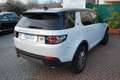 Land Rover Discovery Sport 2.0 TD4 4WD Automatico Promo All-Incl. Weiß - thumbnail 5