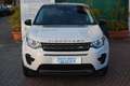 Land Rover Discovery Sport 2.0 TD4 4WD Automatico Promo All-Incl. Blanc - thumbnail 2