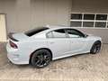 Dodge Charger 3.6 V6 Gris - thumbnail 4