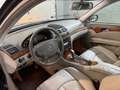 Mercedes-Benz E 220 Elegance CDI Aut. Negro - thumbnail 15