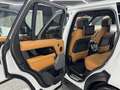 Land Rover Range Rover Vogue 4,4 SDV8 Autobiography*VOLL*FACELIFT* Weiß - thumbnail 27
