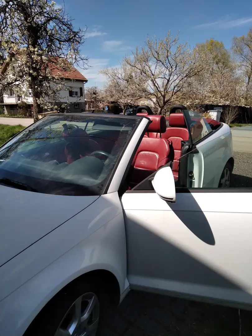 Audi A3 A3 Cabriolet 1.9 TDI 105 DPF Attraction Blanc - 1