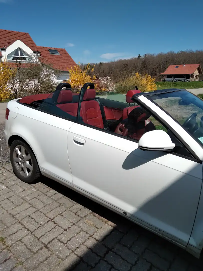 Audi A3 A3 Cabriolet 1.9 TDI 105 DPF Attraction Blanc - 2