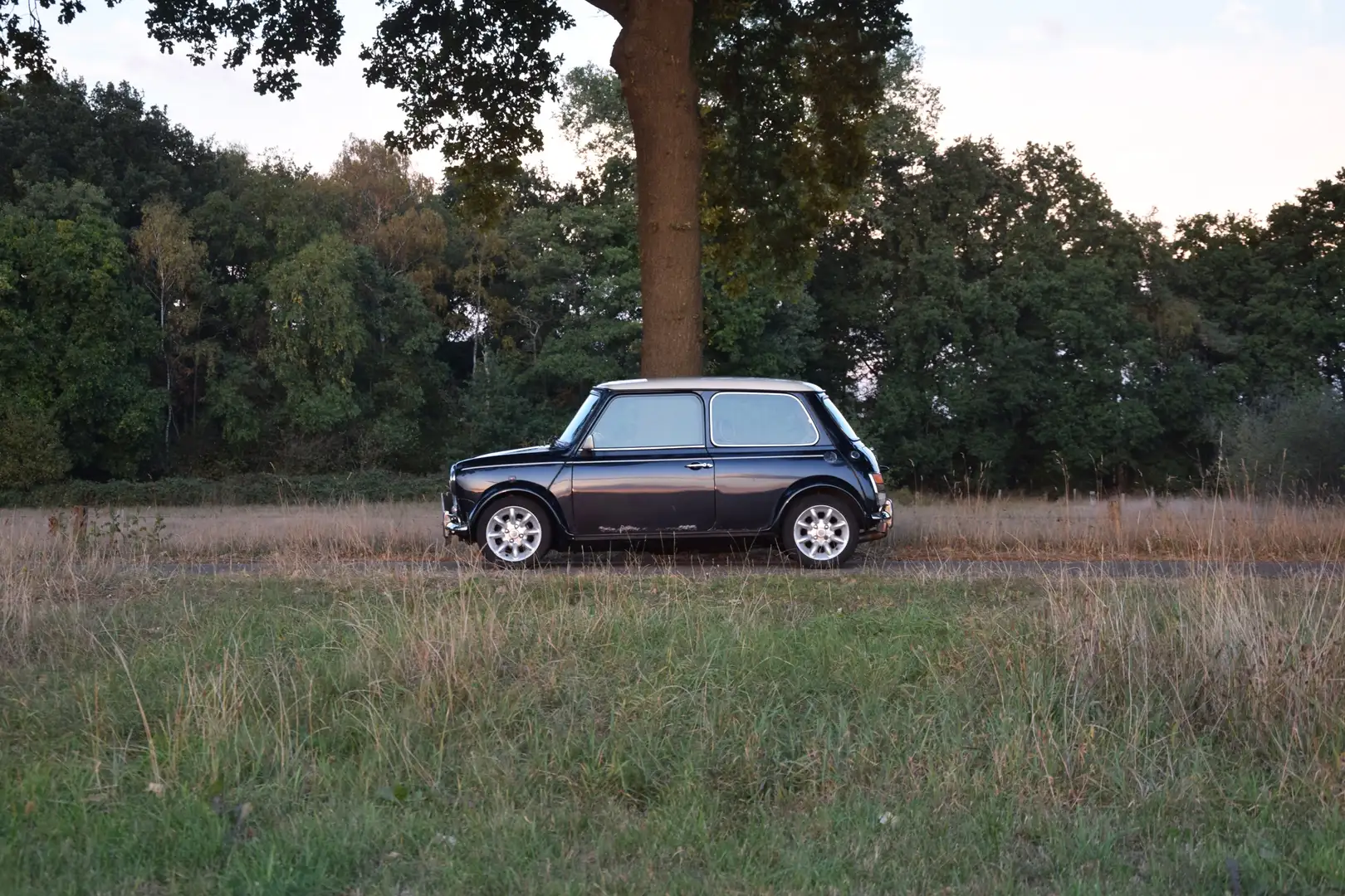 MINI 1300 Sportspack MPI – Anthracite – 79.600km  Y2000 Noir - 1