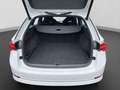 Skoda Octavia Combi 1.4 iV SPORTPAKET MATRIX CANTON 19 Weiß - thumbnail 17