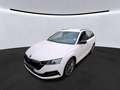Skoda Octavia Combi 1.4 iV SPORTPAKET MATRIX CANTON LM Weiß - thumbnail 2
