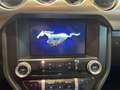 Ford Mustang 5.0 V8 50 EME ANNIVERSAIRE Beige - thumbnail 20
