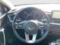 Kia Ceed SW / cee'd SW Ceed Sportswagon Vision Navi ACC SHZ Rückfahrkam Gris - thumbnail 12