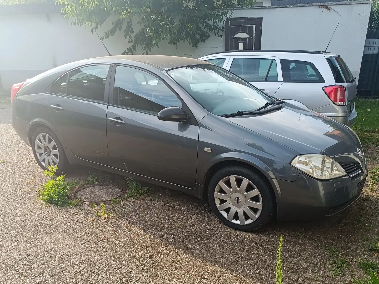 Nissan Primera Primera 2.2 dCi acenta - 2