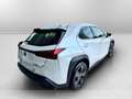Lexus UX 250h 250h 2.0 business 2wd cvt Bianco - thumbnail 4