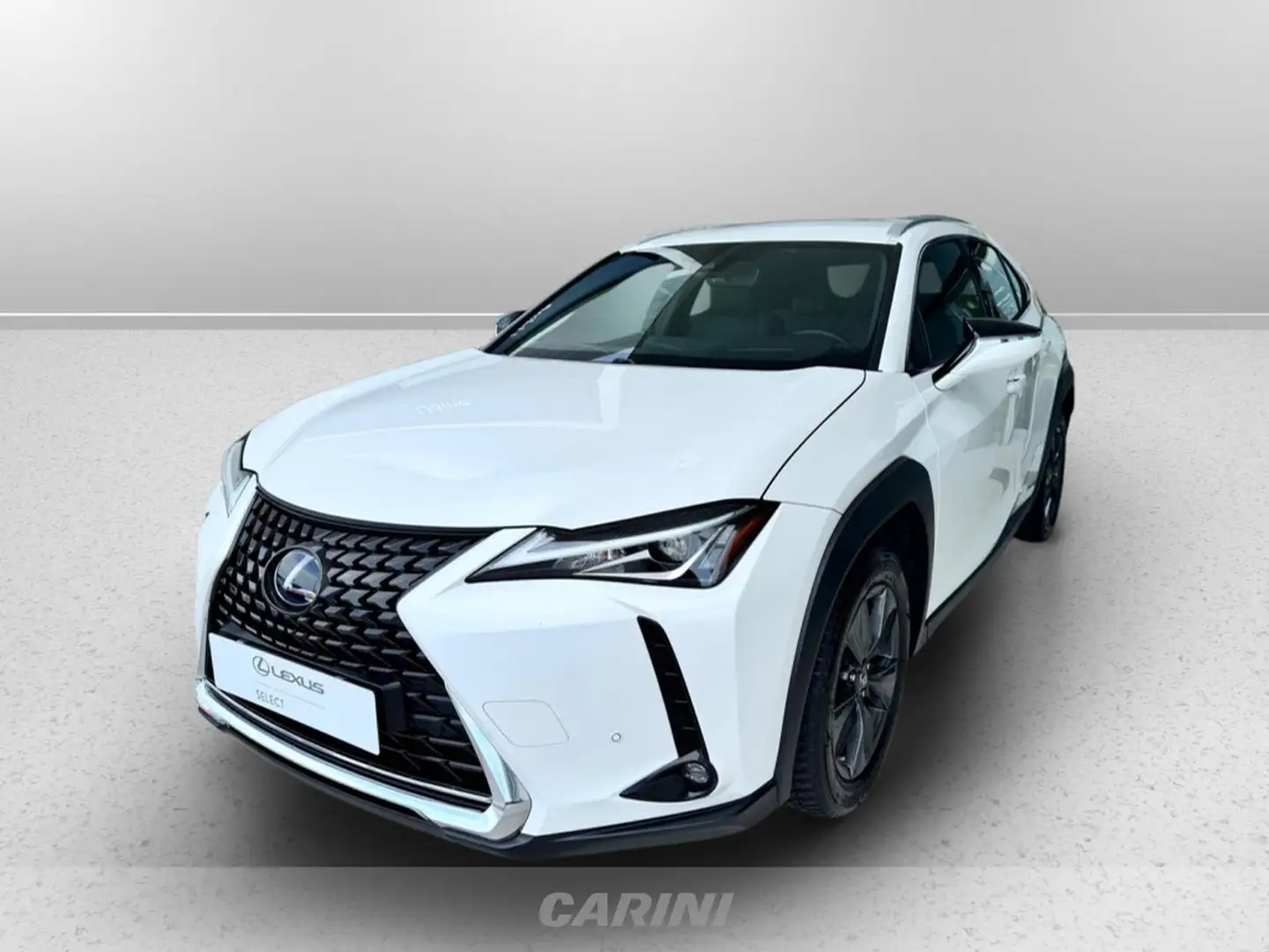 Lexus UX 250h 250h 2.0 business 2wd cvt Wit - 1