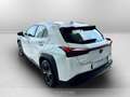 Lexus UX 250h 250h 2.0 business 2wd cvt Wit - thumbnail 6