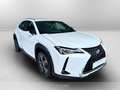 Lexus UX 250h 250h 2.0 business 2wd cvt Bianco - thumbnail 3