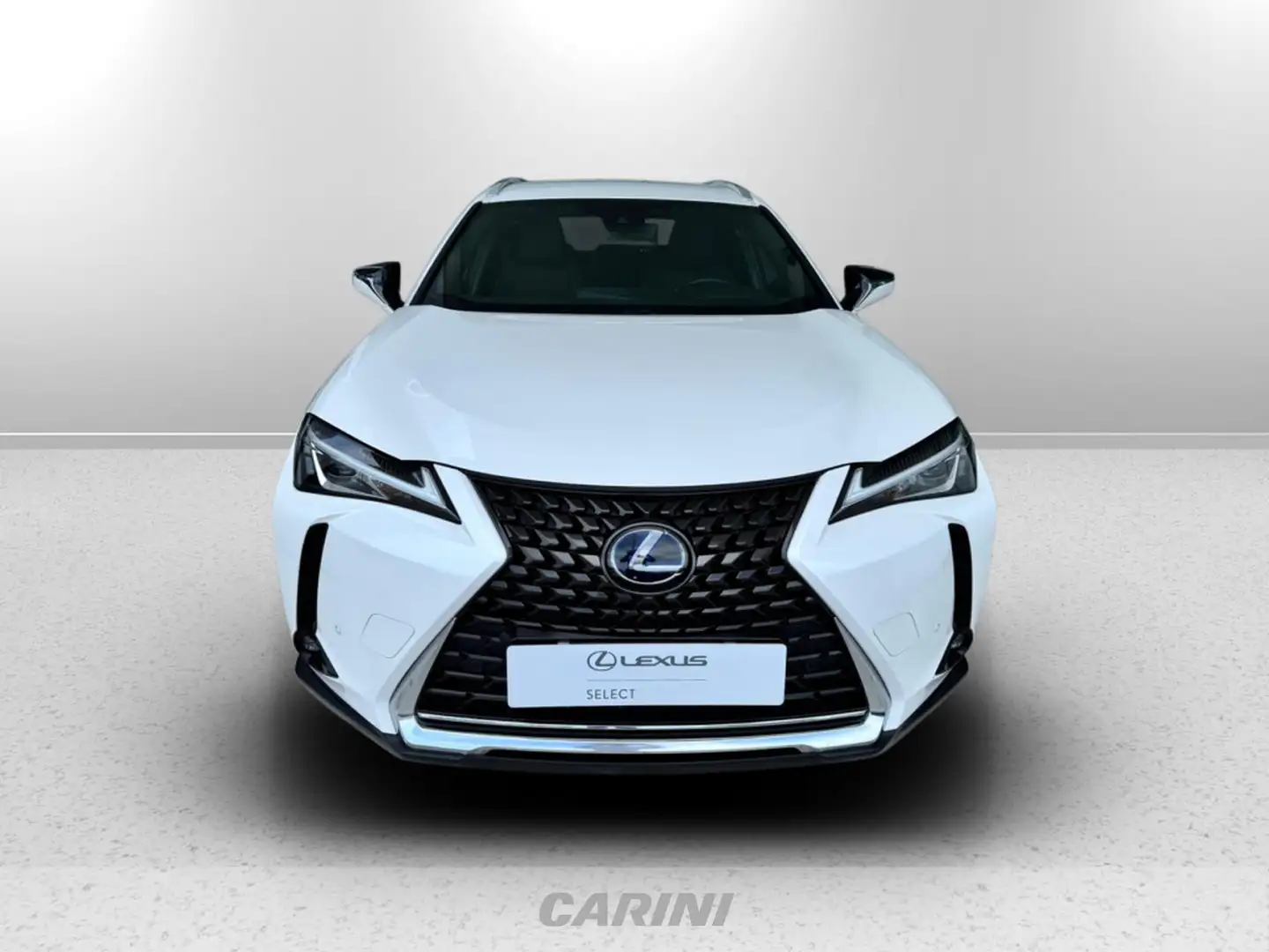 Lexus UX 250h 250h 2.0 business 2wd cvt Wit - 2