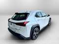 Lexus UX 250h 250h 2.0 business 2wd cvt Wit - thumbnail 4