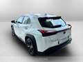 Lexus UX 250h 250h 2.0 business 2wd cvt Bianco - thumbnail 6