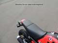 Honda MSX 125 ABS Neuwertig  1 km Piros - thumbnail 6